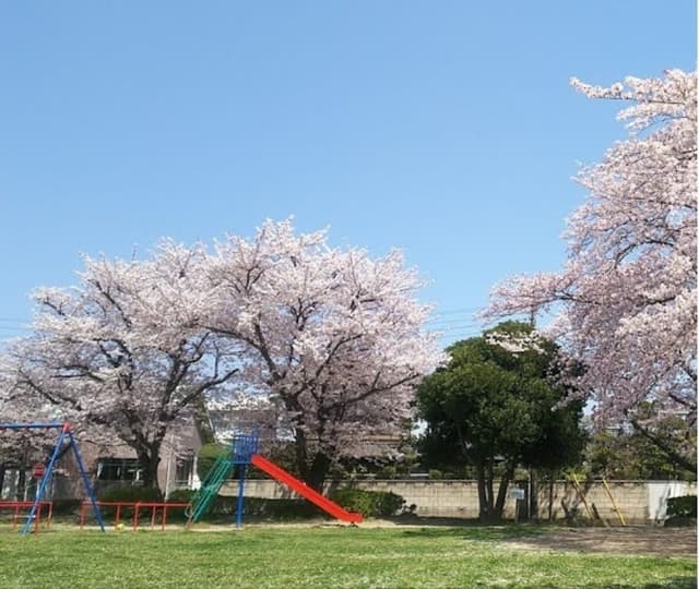 公園