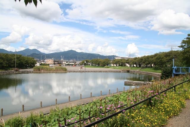 公園