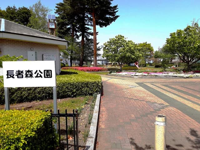 公園