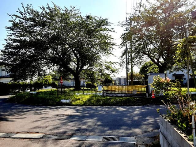 公園