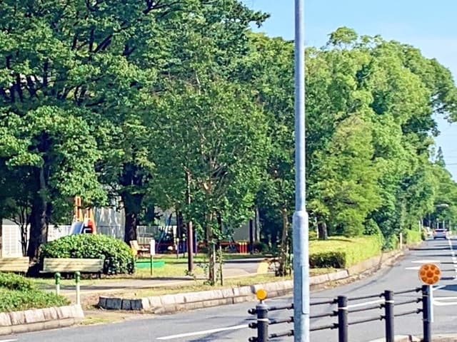 公園