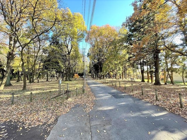 公園