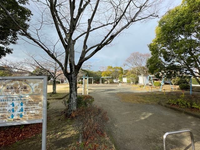 公園