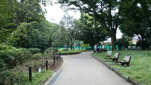 公園