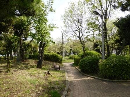 公園