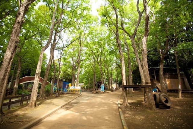 公園