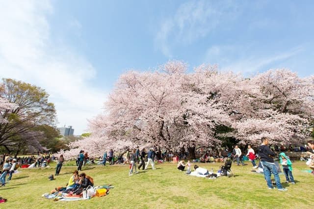 公園