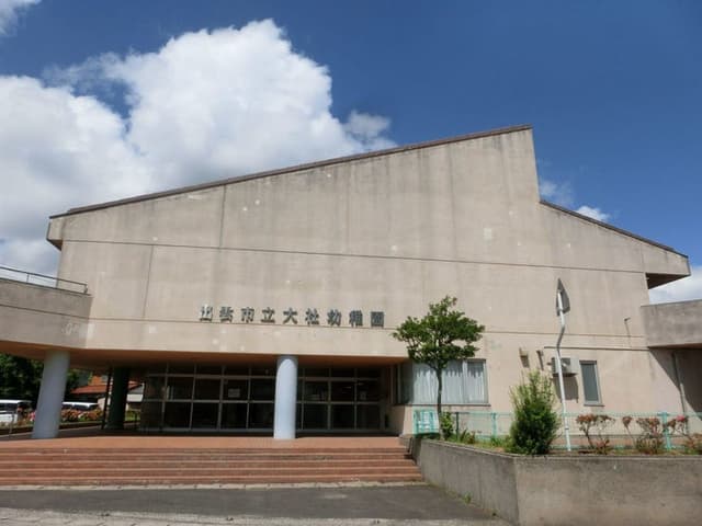 幼稚園・保育園