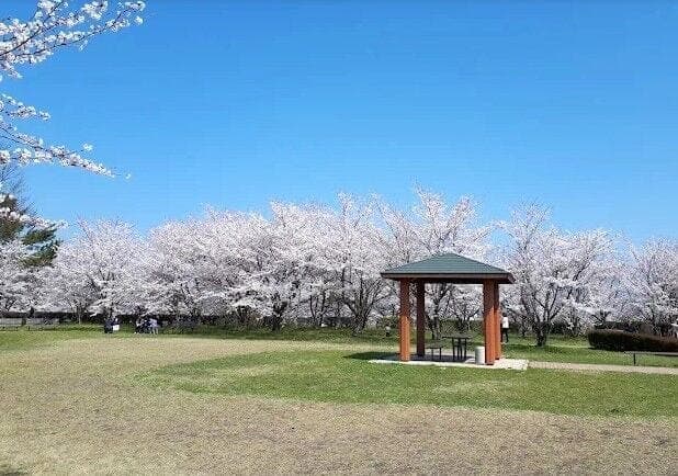 公園