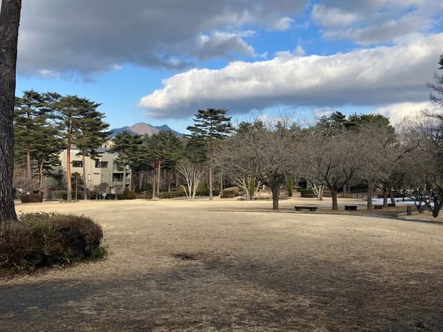 公園