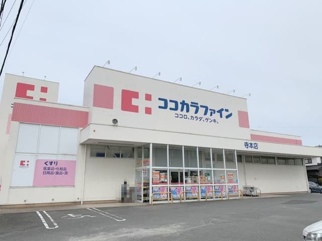  ドラッグストア