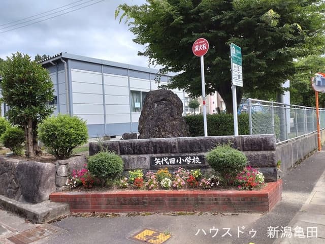 小学校