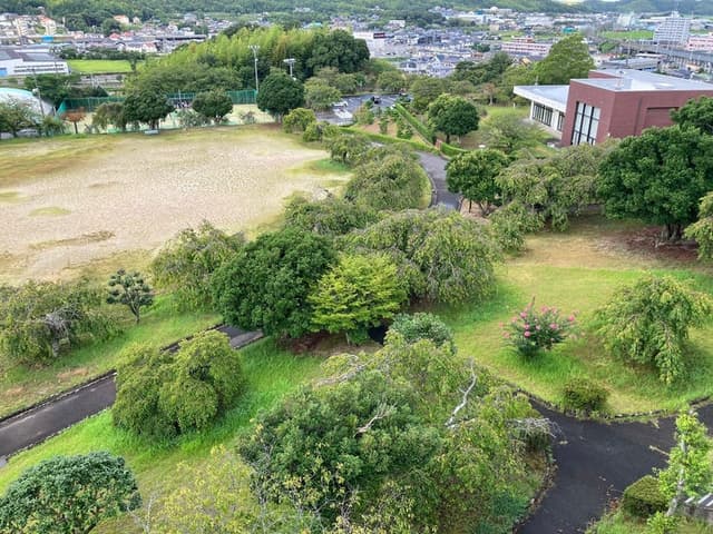 公園