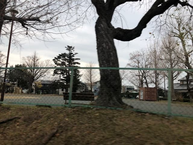 公園