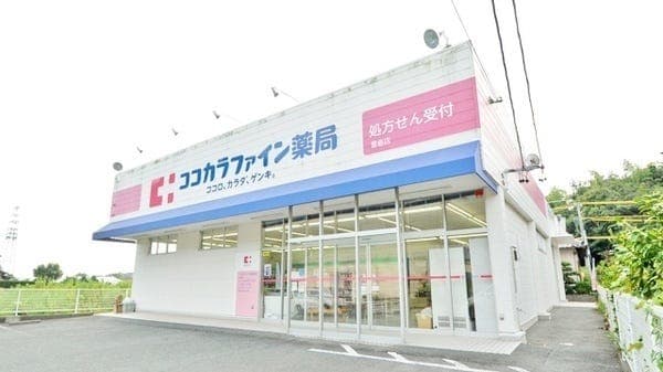 ドラッグストア