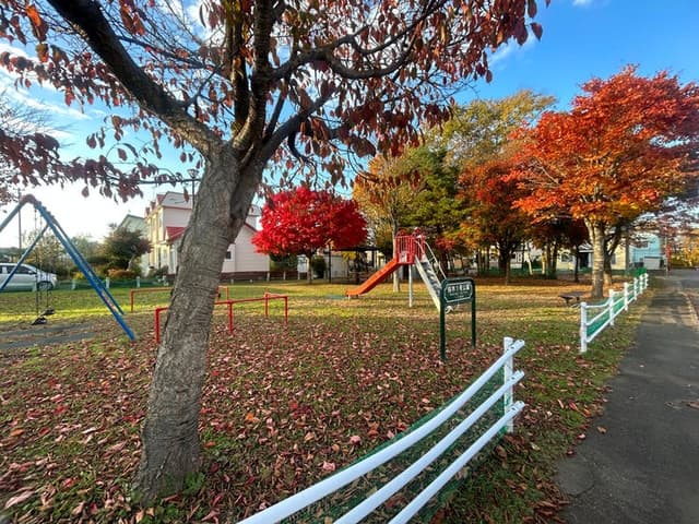 公園