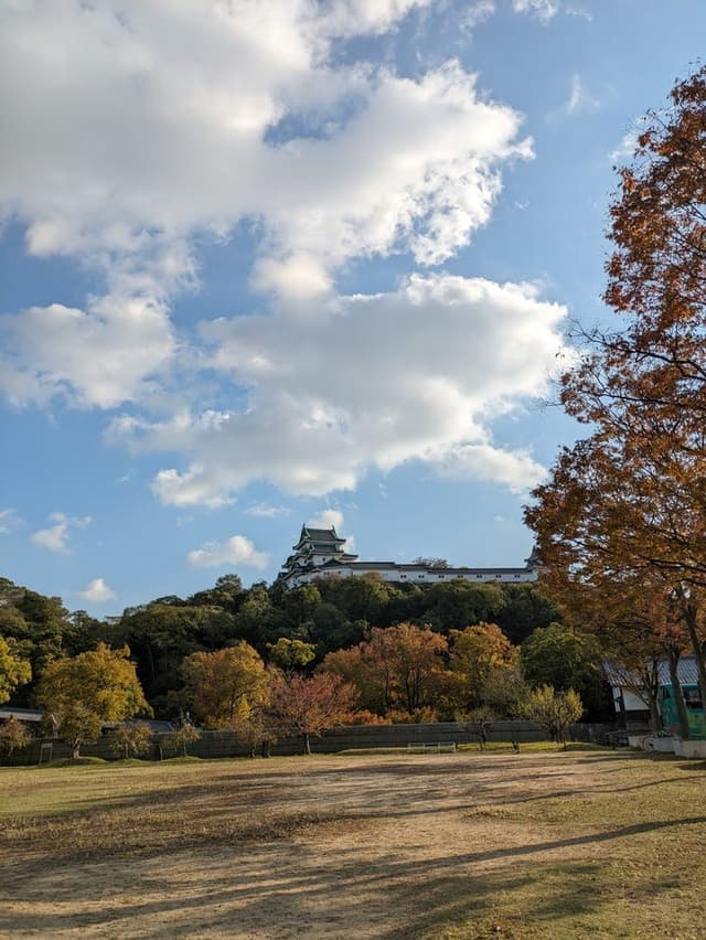 その他環境写真