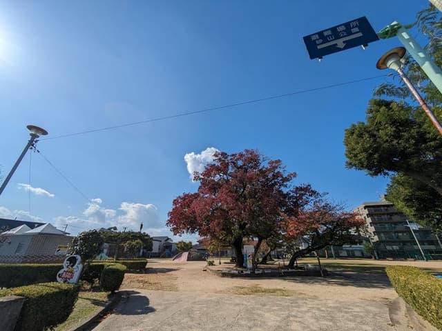 公園