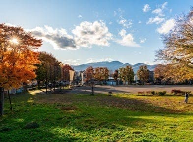 公園