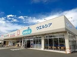 ドラッグストア