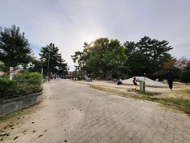 公園