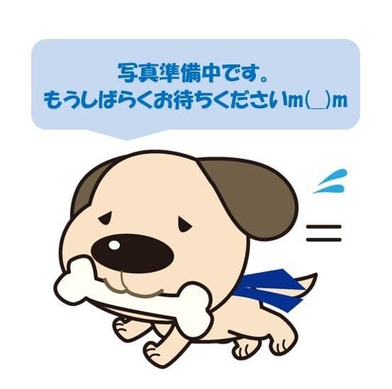 その他環境写真