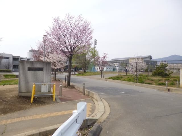中学校