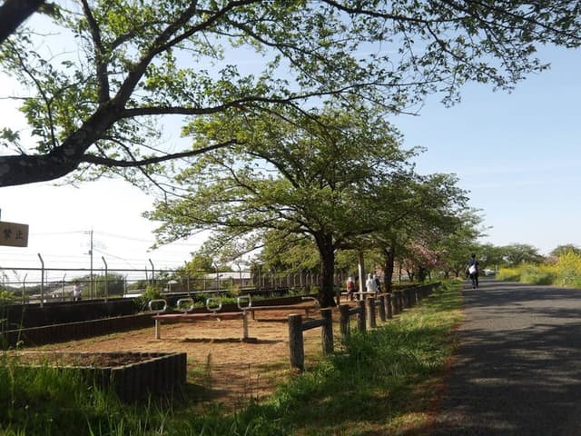 公園