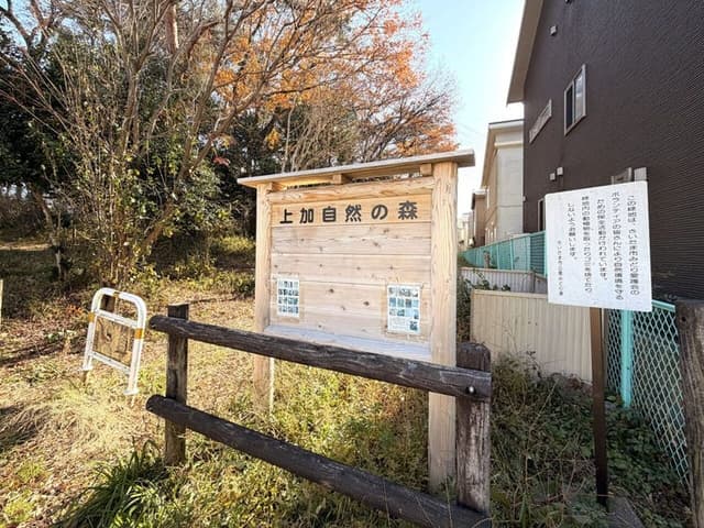 公園