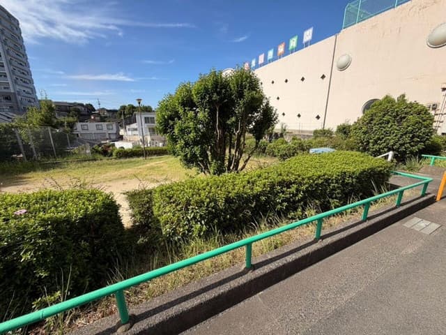 公園