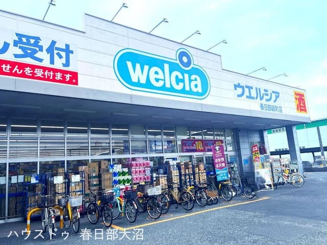 ドラッグストア