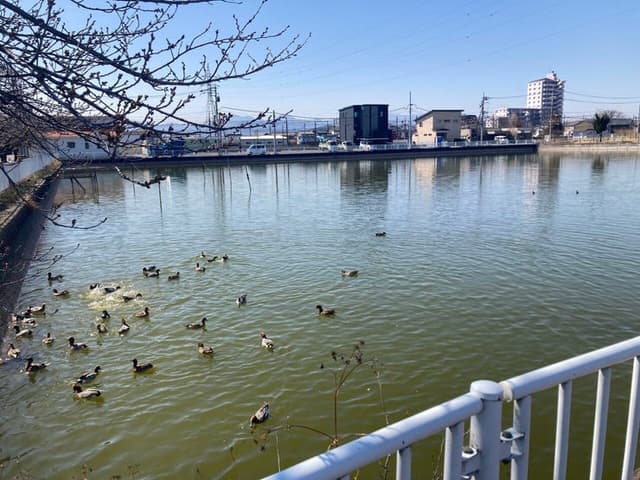 公園