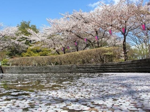 公園