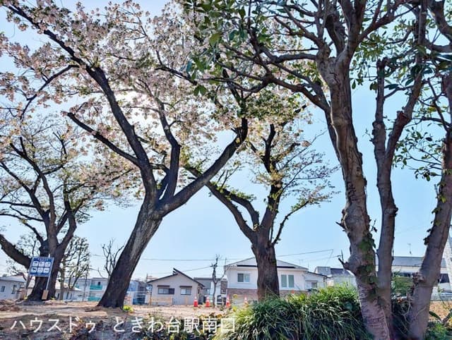 公園