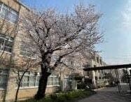 中学校