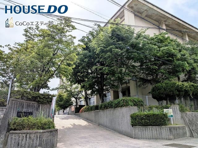 中学校