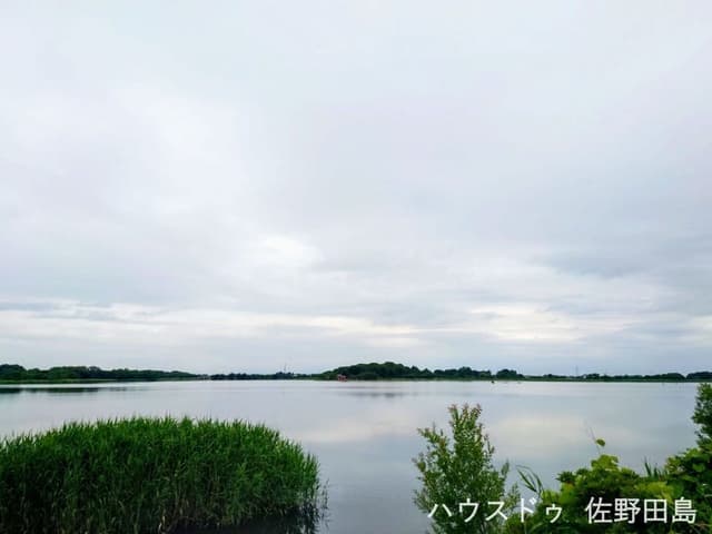 公園