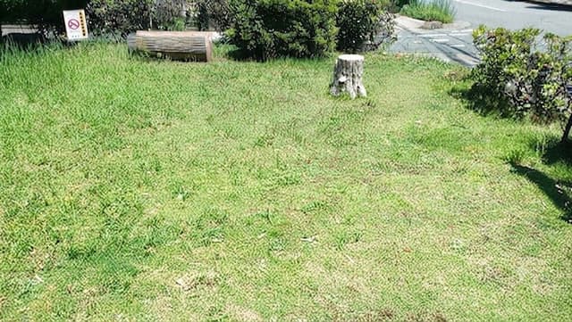 公園