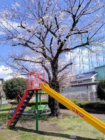 公園