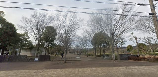 公園