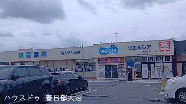 ドラッグストア