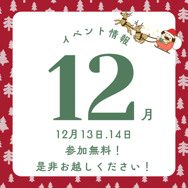 ハウスドゥ小牧味岡12月お客様還元祭