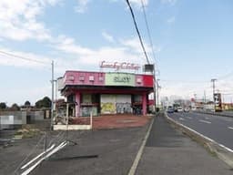 白岡市篠津の土地