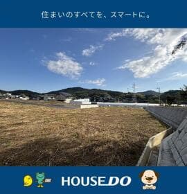 3号地