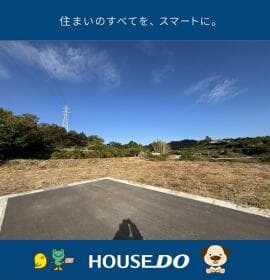 12号地