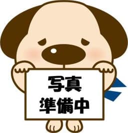 \高知市北本町4丁目 中古戸建/