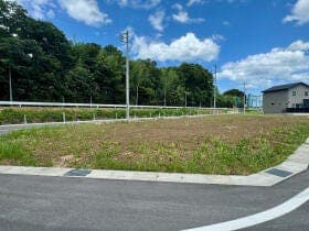 19号地