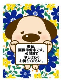 川口市中青木2丁目