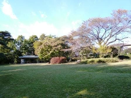 公園