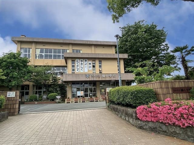 小学校